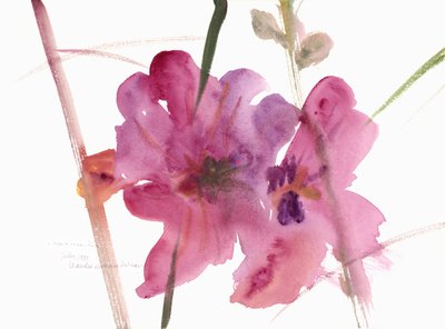 Malvarose, 1988 da Claudia Hutchins Puechavy