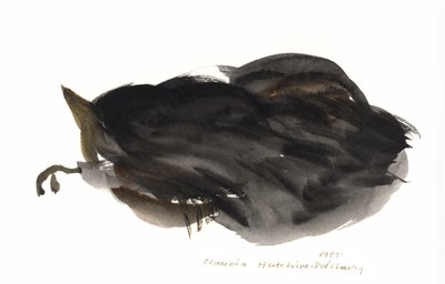 Gatto che dorme, 1985 da Claudia Hutchins Puechavy