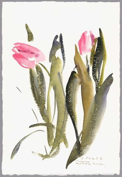 Tulipani, 2003 da Claudia Hutchins Puechavy