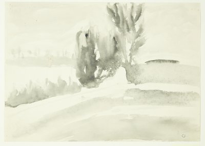 Paesaggio con alberi da Claus Johansen