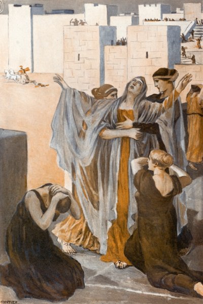 Illustrazione per l