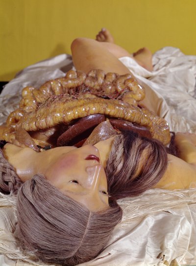 Modello di una donna sventrata (cera) da Clemente Susini
