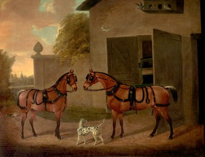 Carrozze, cavalli e cani da Clifton Tomson