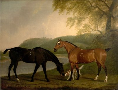Cavalli e cane in un paesaggio, c.1830 da Clifton Tomson