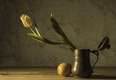 Natura morta con tulipani gialli da Codruta Georgescu
