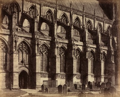 Lato Sud della Minster di Beverley da Col. Alfred Capel Cure