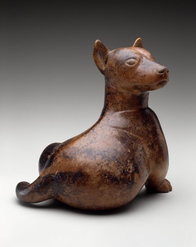 Cane semi-seduto, Messico, Proto-Classico, 100 a.C.-300 d.C. da Colima Culture