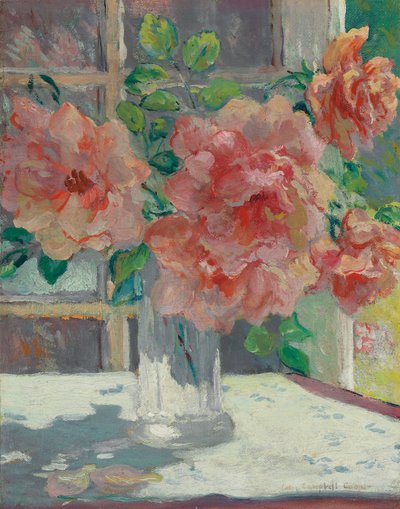 Rose da Colin Campbell Cooper