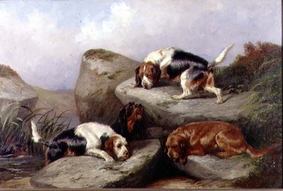 Segugi da lontra, 1889 da Colin Graeme