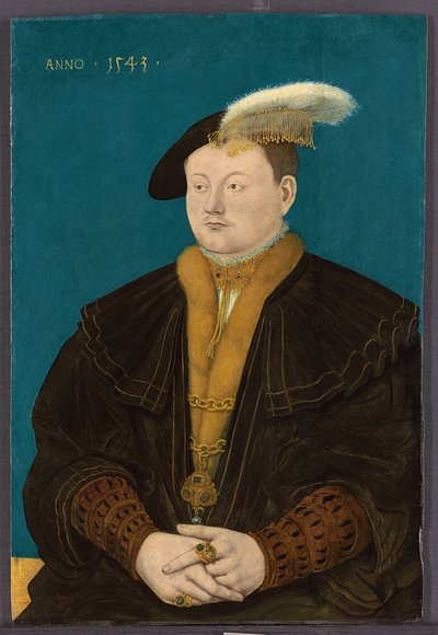 Ritratto di Friedrich Magnus I von Solms-Laubach, 1543 da Conrad Faber