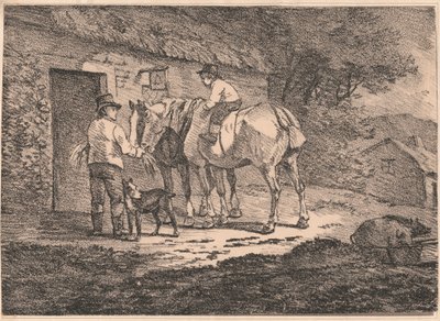 Cavalli alla porta del cottage da Conrad Gessner