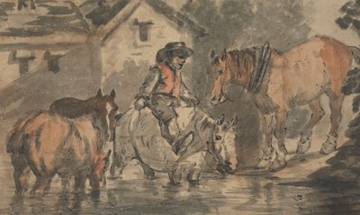 Uomo che annaffia quattro cavalli da Conrad Gessner
