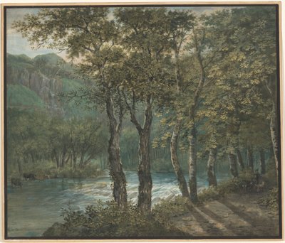 Luce solare filtrata attraverso gli alberi lungo il fiume Sihl da Conrad Gessner
