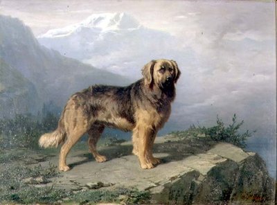 Un mastino in un paesaggio alpino da Conradyn Cunaeus