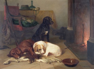 Accanto al caminetto da Conradyn Cunaeus