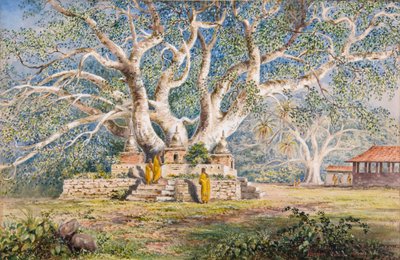 Albero sacro Bo nel luogo di sepoltura delle regine di Kandy da Constance Frederica Gordon Cumming