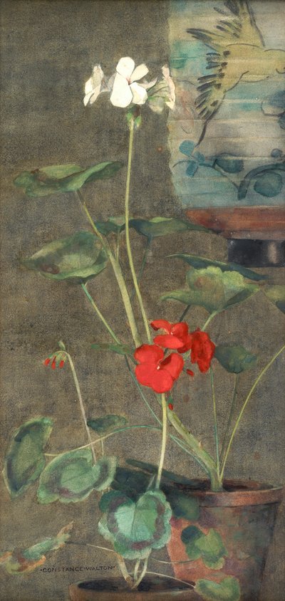 Gerani e Lanterna Giapponese da Constance Walton