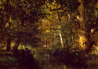 Ruscello nella foresta da Constant Emile Troyon