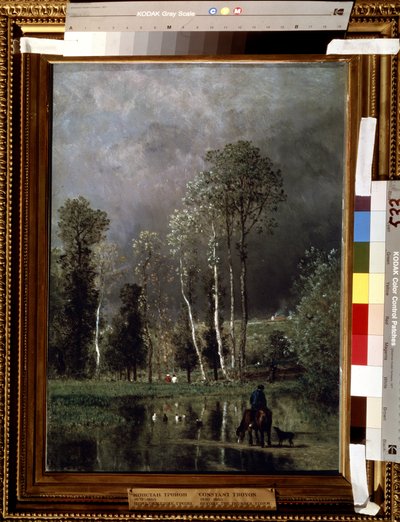 La progressione della tempesta da Constant Emile Troyon