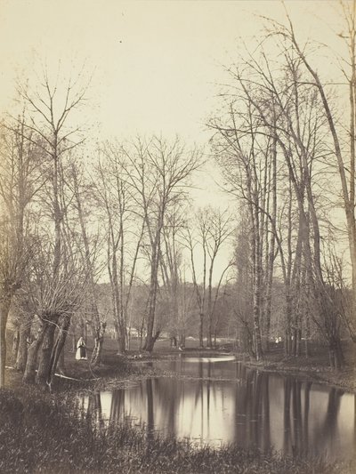 Stagno e moglie del contadino, c. 1865 da Constant Alexandre Famin