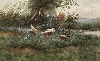 Anatre vicino a uno stagno da Constant Artz