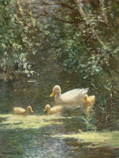 Mamma anatra con anatroccoli nell