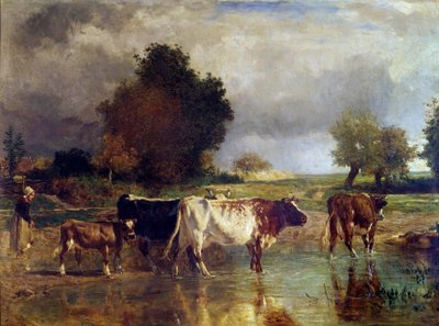 Mucca e vitello allo stagno o all