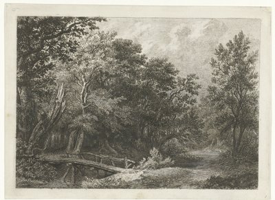 Veduta del bosco con ponte di legno da Constantinus Cornelis Huysmans