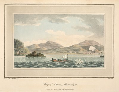 Baia di Maran, Martinica, illustrazione da 