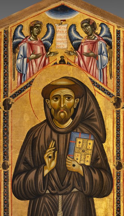 Pala d
