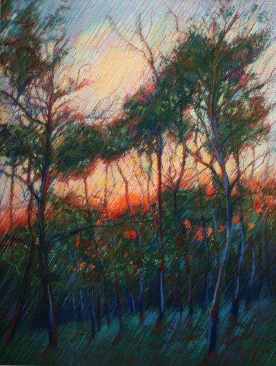 Il bagliore del tramonto nella foresta da Corné Akkers