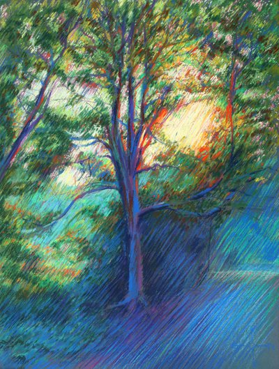 Sentiero nella foresta illuminato dal sole da Corné Akkers