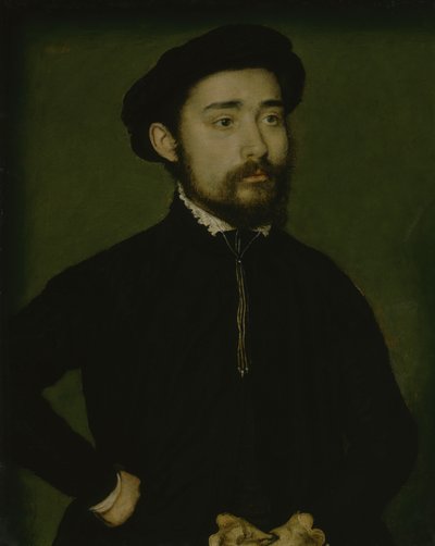 Ritratto di un uomo con un guanto da Corneille de Lyon