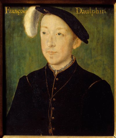 Ritratto di Carlo di Francia, Duca d