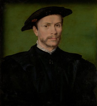 Ritratto di un uomo barbuto in nero da Corneille de Lyon