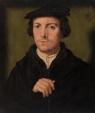 Ritratto di un uomo da Corneille de Lyon