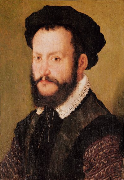 Ritratto di un uomo con capelli castani, c.1560 da Corneille de Lyon