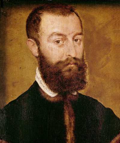 Ritratto di un uomo con la barba o, Ritratto di un uomo con i capelli castani da Corneille de Lyon