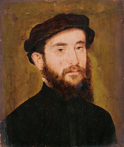 Ritratto di un uomo sconosciuto da Corneille de Lyon