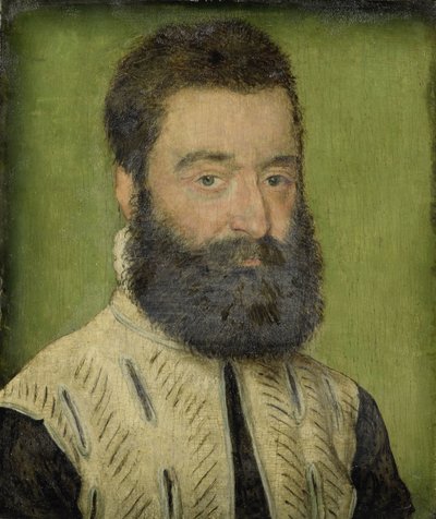 Ritratto di Barthélemy Aneau, capo del Collège de la Trinité a Lione da Corneille de la Haye named
