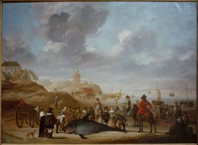 Balena sulla spiaggia di Scheveningen da Cornelis Beelt