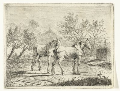 Paesaggio di pascolo con due cavalli vicino a un ponticello e una fattoria da Cornelis  Bisschop
