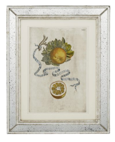 Foglia arricciata arancione, tavola 389 da 