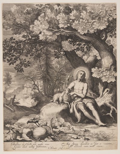 San Giovanni Battista in un paesaggio da Cornelis Bloemaert