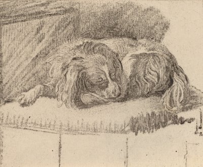 Cane sdraiato da Cornelis Brouwer