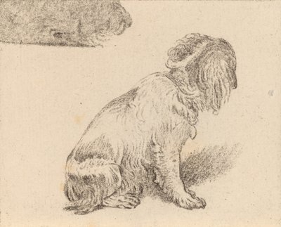 Cane seduto da Cornelis Brouwer