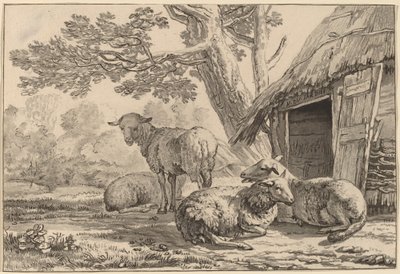 Sheepcote da Cornelis Brouwer
