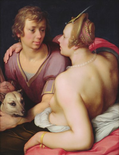 Venere e Adone, 1610 da Cornelis Cornelisz van Haarlem