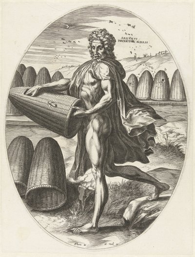 Aristeo da Cornelis Cort