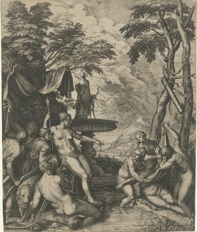 Diana scopre la gravidanza di Callisto da Cornelis Cort
